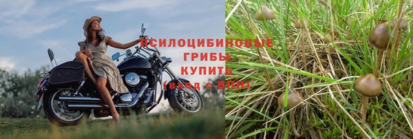 MDMA Premium VHQ Гусь-Хрустальный