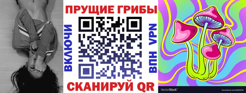 Галлюциногенные грибы GOLDEN TEACHER  Купить где  Багратионовск 